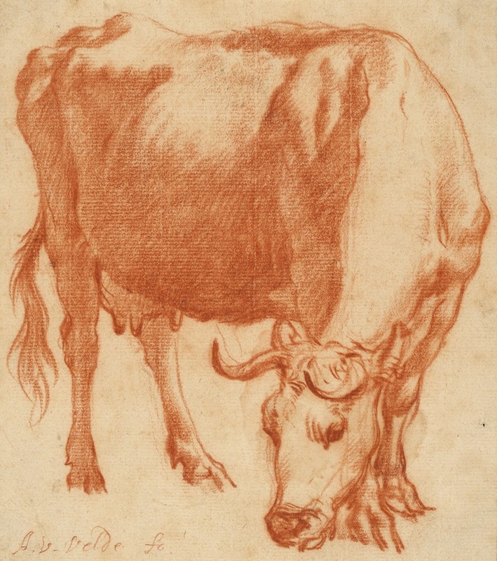 A Cow Grazing by Adriaen van de Velde, 1663 — digital art print download