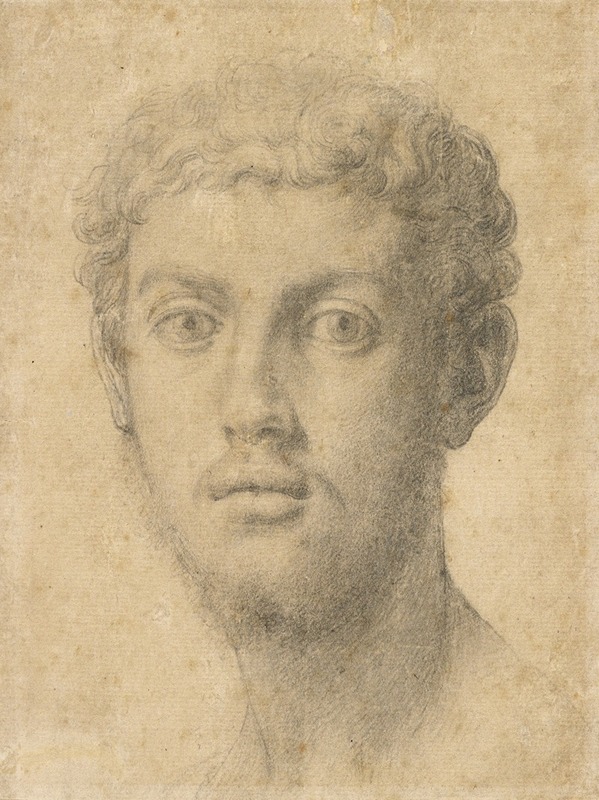 Head of a Man — Агноло Бронзино