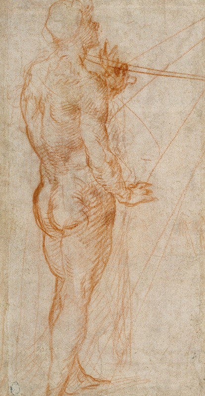 Study of a Nude Man by Андреа дель Сарто, 1517 — digital art print download