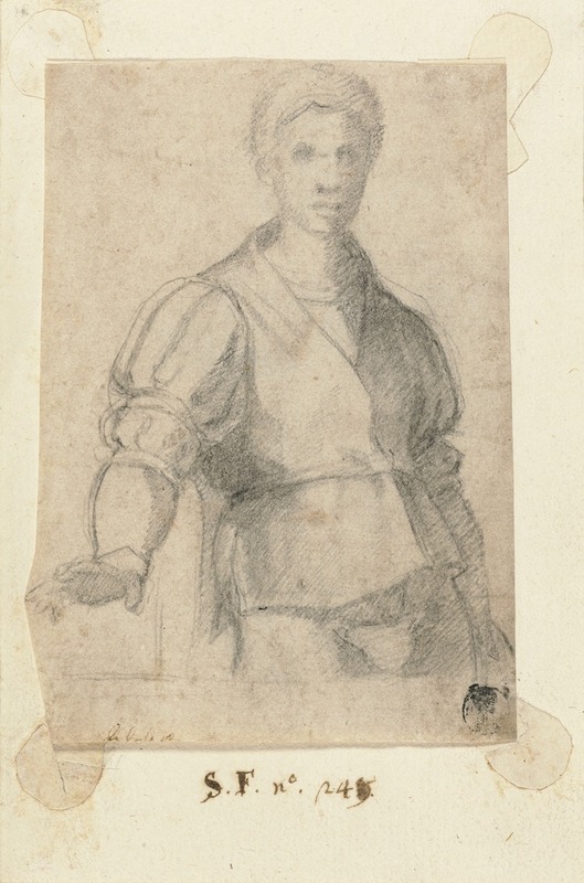 Study of a Young Man by Андреа дель Сарто, 1523 — digital art print download