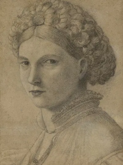 Portrait of a Young Woman by Андреа Превитали, 1520–1525 — digital art print download