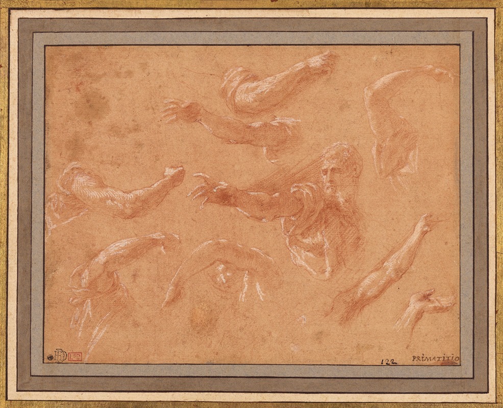 Study of God the Father with Angels — Francesco Primaticcio