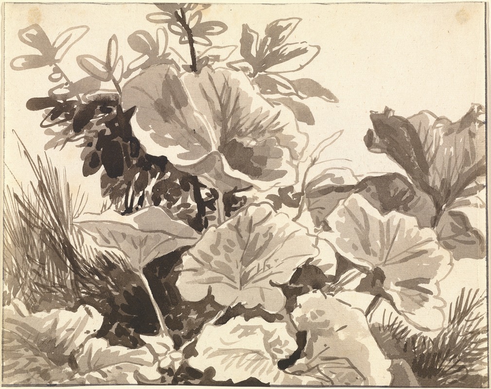 Study of Coltsfoot Leaves by Франц Кобелл, 1797–1819 — digital art print download