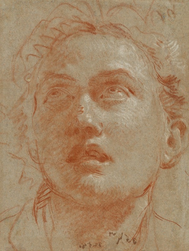 Head of a Man Looking Up — Джованни Баттиста Тьеполо