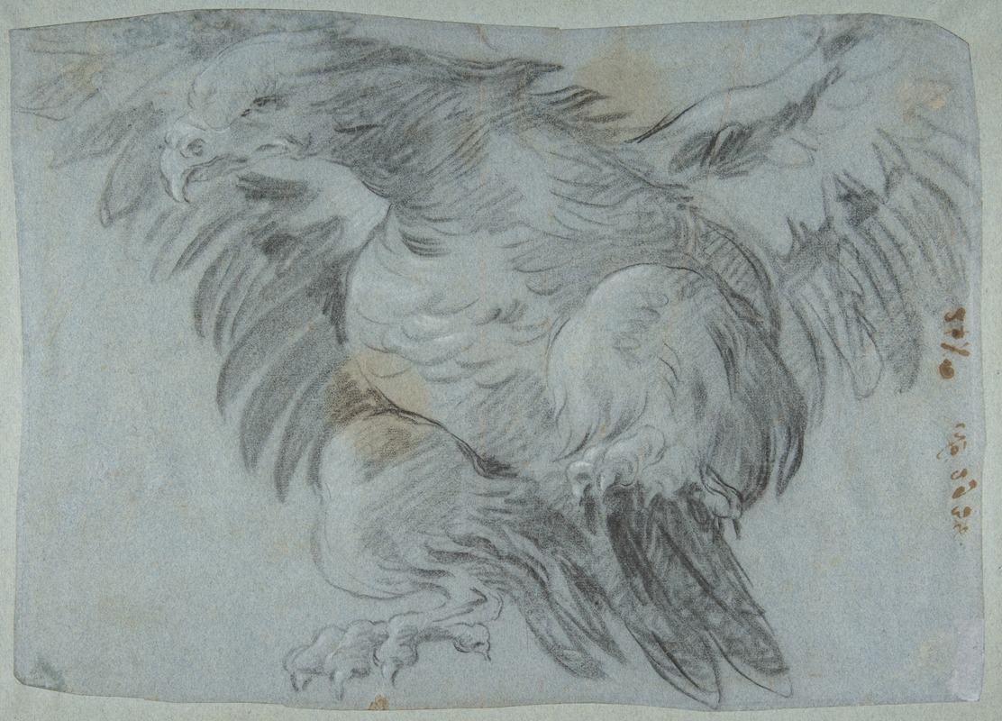 An Eagle with Wings Spread by Джованни Баттиста Тьеполо, 1696–1770 — digital art print download