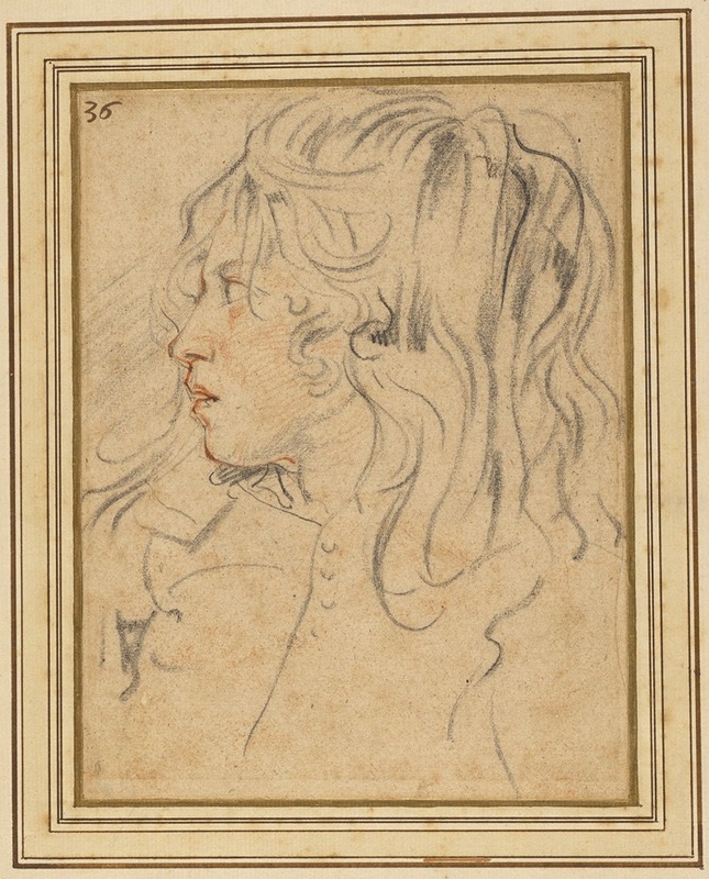 Head of a Young Boy — Ян Коссийерс
