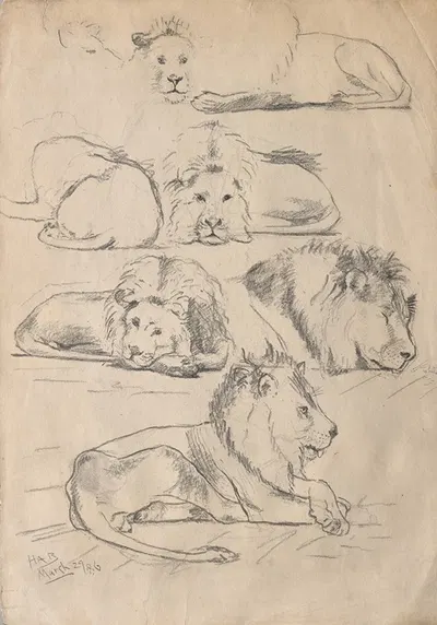 Studies of Lions by Джон Хаберли, 1886 — digital art print download
