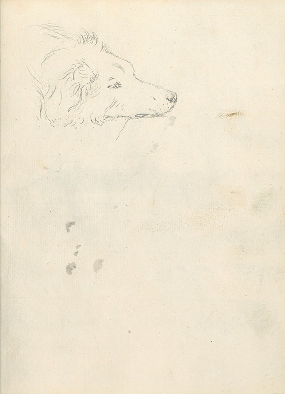Head of a Dog — Джозеф Райт из Дерби