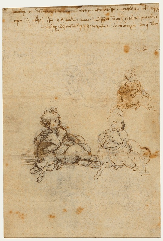 Studies for the Christ Child with a Lamb by Леонардо да Винчи, 1503–1506 — digital art print download