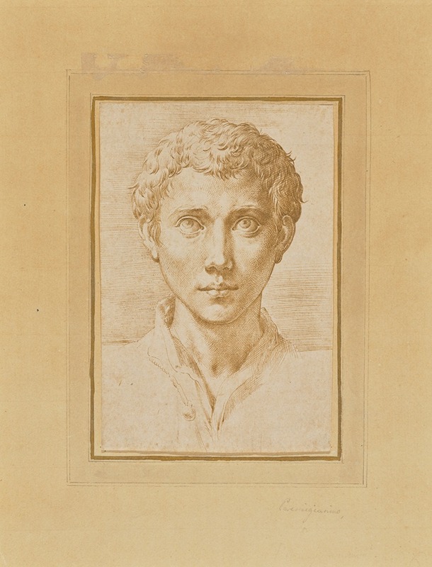 The Head of a Young Man — Parmigianino