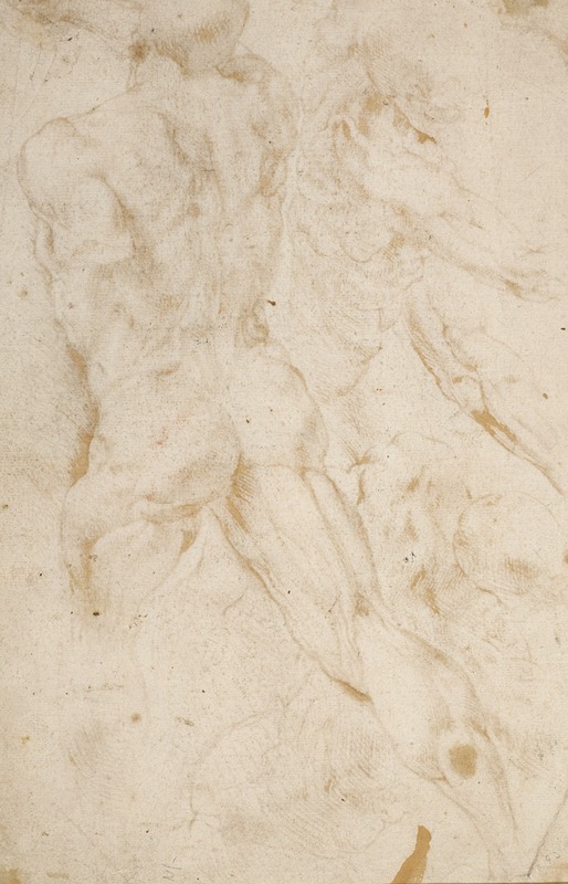 Anatomical Studies by Петер Пауль Рубенс, 1600–1605 — digital art print download