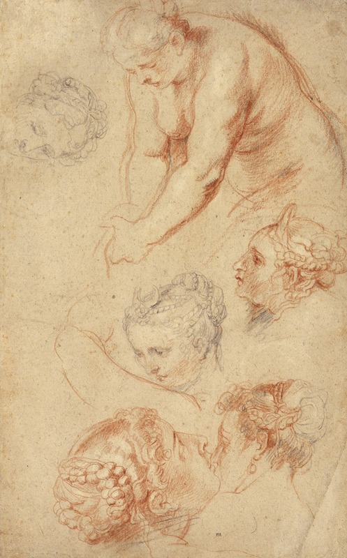 Studies of Women by Петер Пауль Рубенс, 1628 — digital art print download