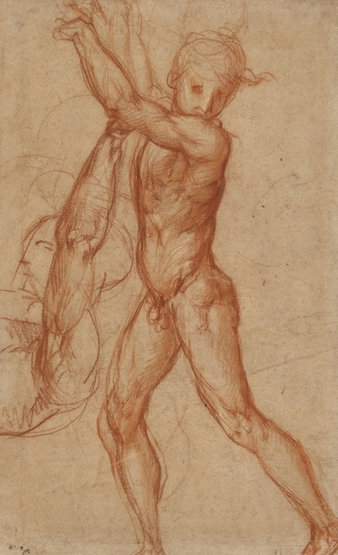 Study of a Nude Boy, Partial Figure Study by Понтормо (Джакопо Каруччи), 1518 — digital art print download