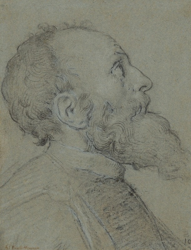 Head of a Bearded Man — School of Paolo Veronese