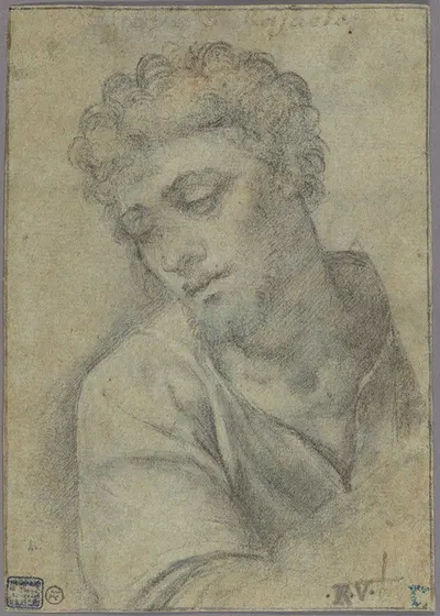 Study for the Figure of Christ Carrying the Cross by Себастьяно дель Пьомбо, 1513–1514 — digital art print download