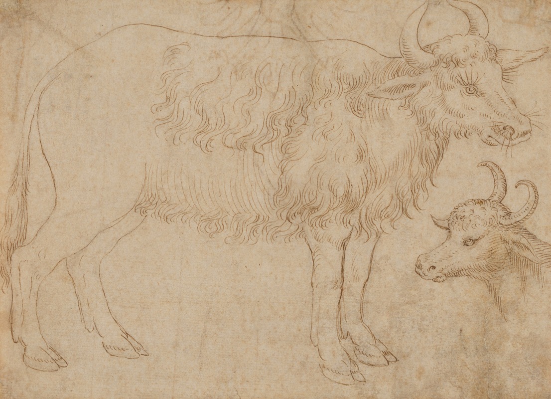 Study of Two Bovine Animals by The Veneto — digital art print download