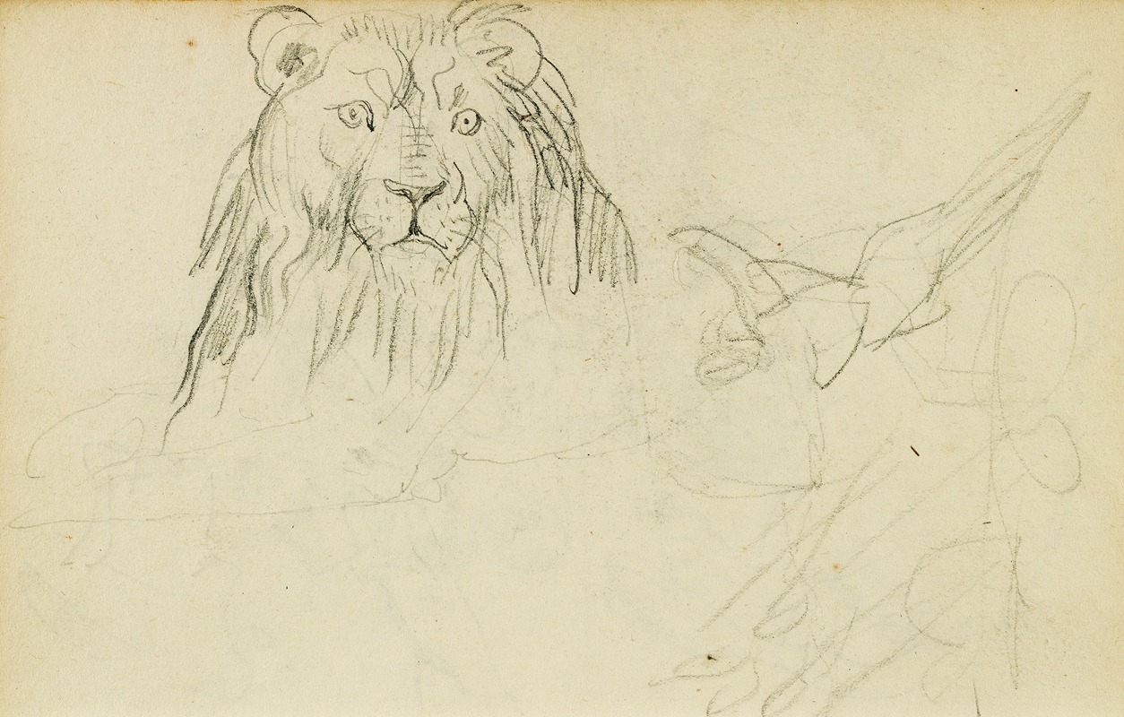 Head on view of seated lion — Théodore Géricault