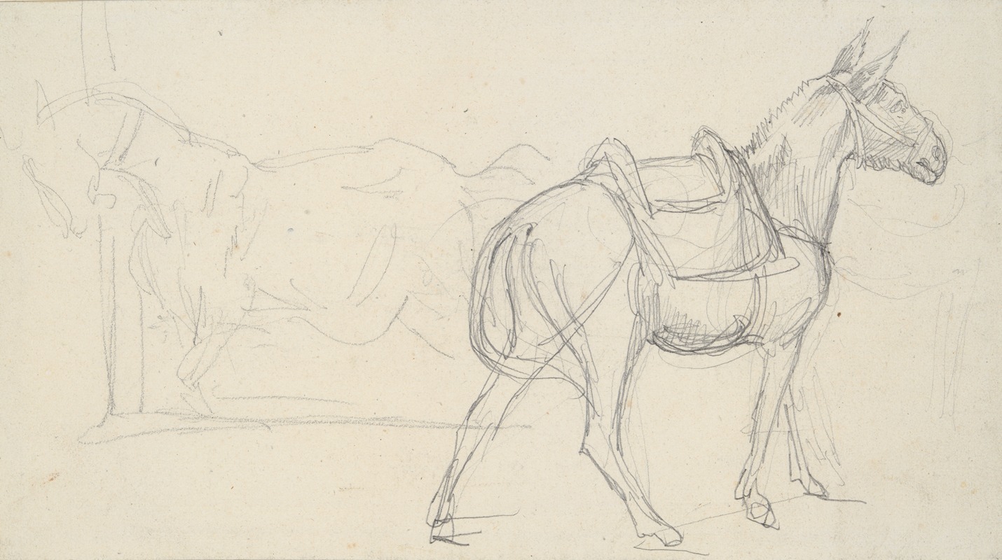 Sketch of a Horse — Théodore Géricault