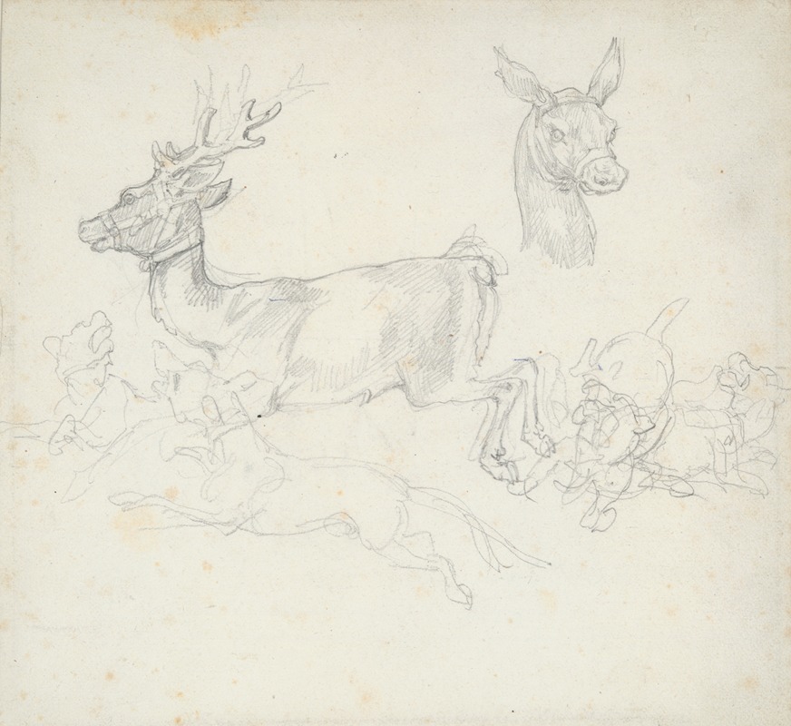 Study of Deer Chased by Dogs, Doe’s Head — Théodore Géricault
