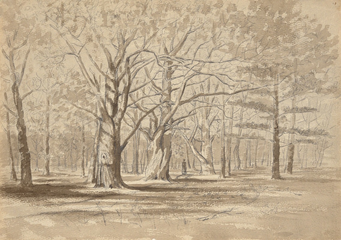 College Woods by William Fowler Hopson — digital art print download