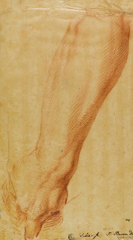 Left Arm of a Hunter by Bernard Baron — digital art print download