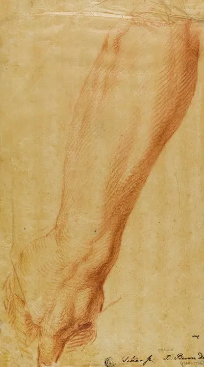 Left Arm of a Hunter by Bernard Baron — digital art print download