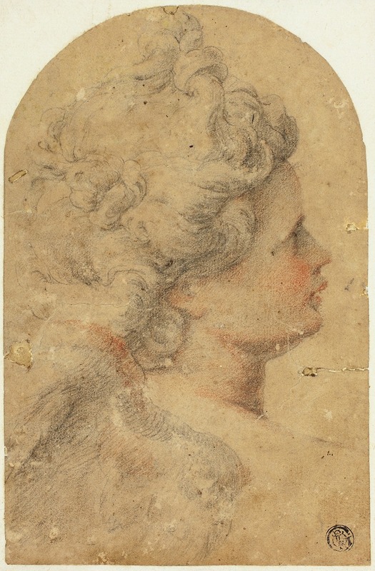 Woman’s Profile to Right by Camillo Procaccini — digital art print download