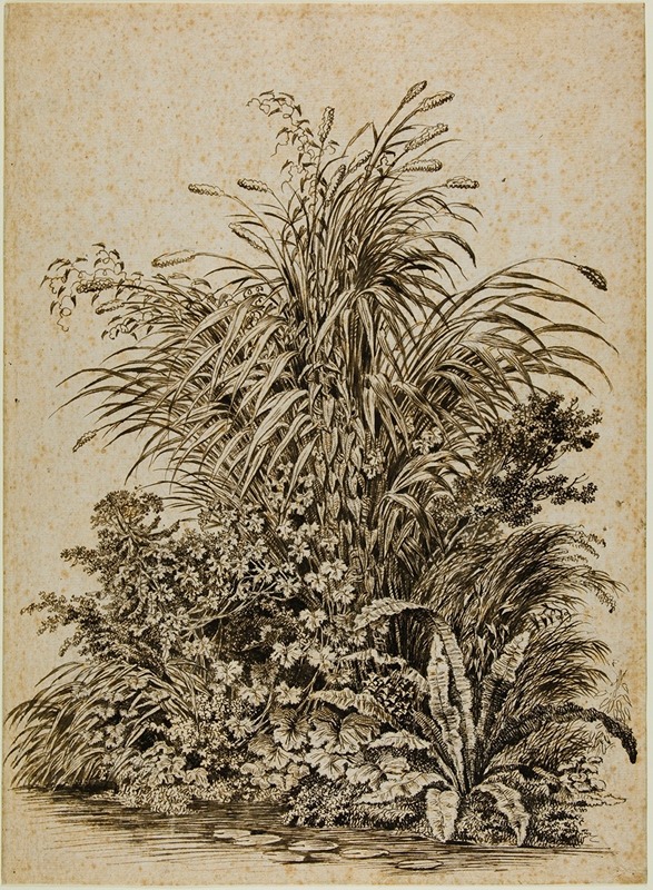 Plants at Water’s Edge by Carl Wilhelm Kolbe the elder, c. 1800 — digital art print download