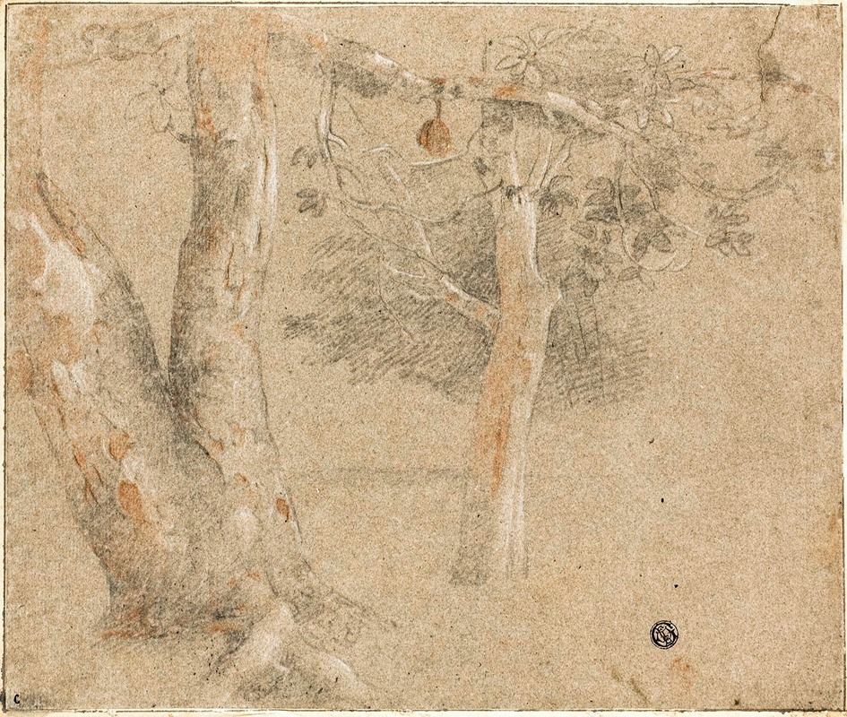 Sketches of Trees by Кристофано Аллори — digital art print download