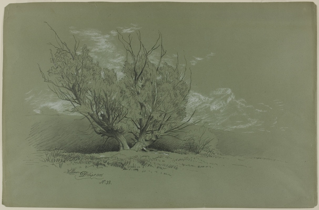 Willow by Дэвид Джонсон, 1885 — digital art print download