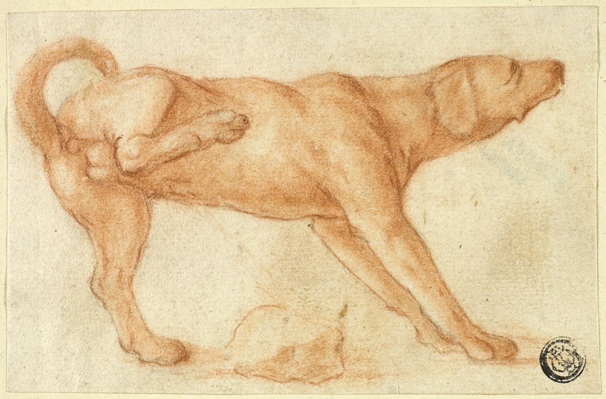 Dog Urinating on Rock by Дирк Валькенбург — digital art print download