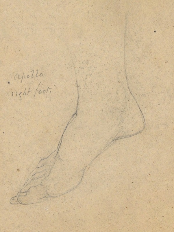 Study for the Judgment of Jupiter (Apollo, right foot) — Samuel Finley Breese Morse