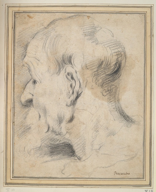 Head of an Old Man in Profile — Camillo Procaccini
