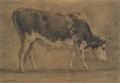 American Ox by Констант Труайон — digital art print download