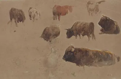 Studies of Cattle by Констант Труайон — digital art print download
