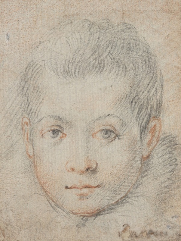 Head of a Boy by Federico Zuccaro — digital art print download
