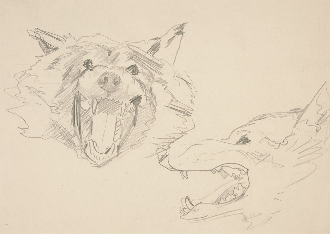 Two Views of a Wolf’s Head by Джон Сингер Сарджент — digital art print download