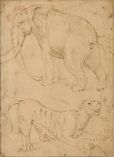 Étude d'un éléphant et d'une panthère by Giovanni-Battista Franco — digital art print download