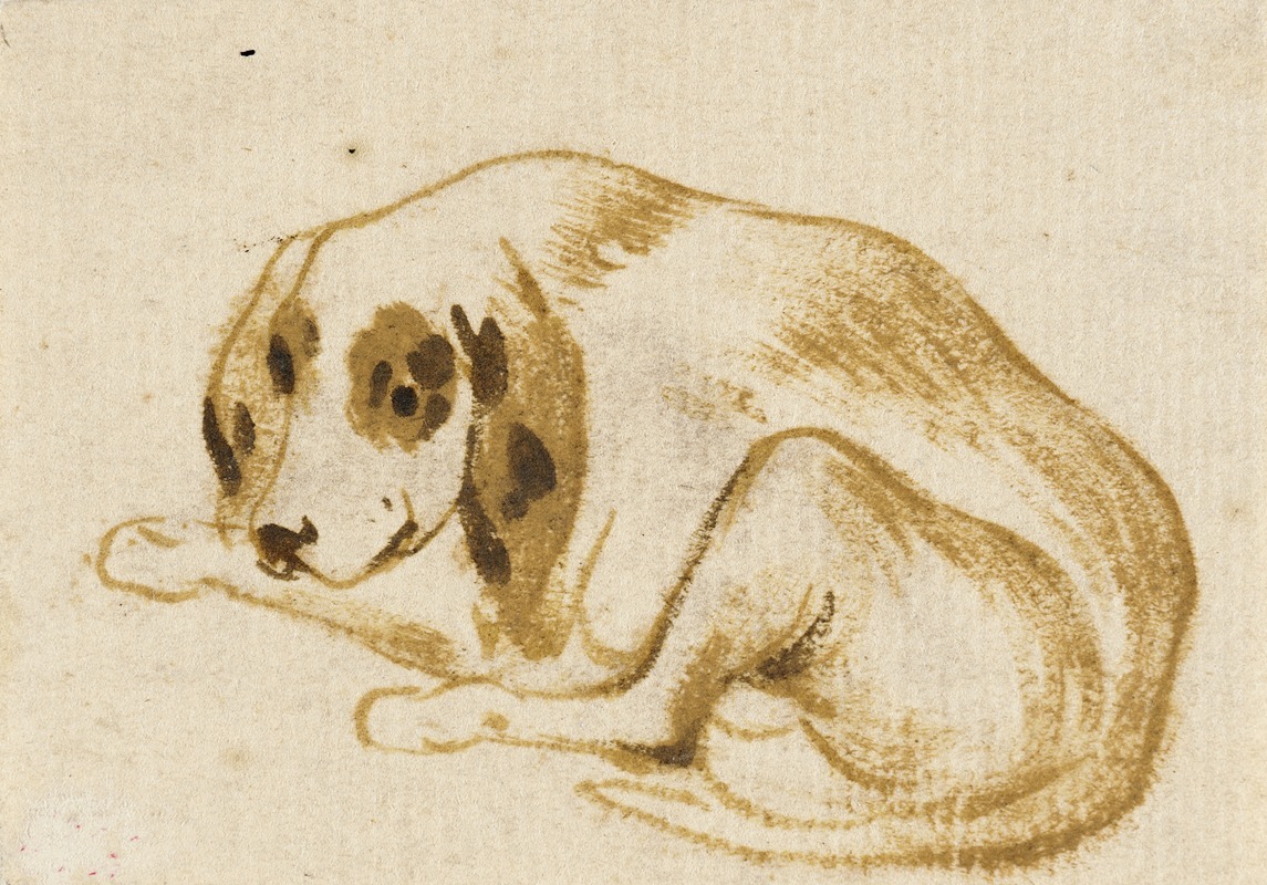 Studies of Dogs by Франс Снайдерс — digital art print download