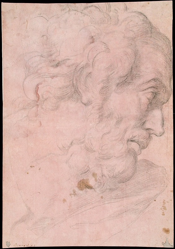 Head of A Bearded Man — Giovanni Angelo Canini