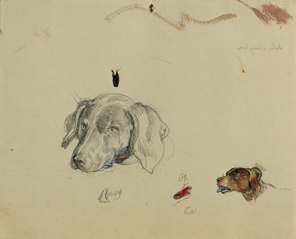 Hundestudie by Johann Peter Krafft — digital art print download