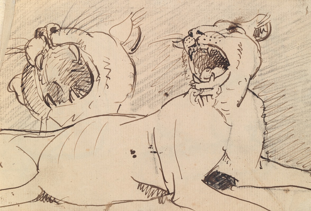 Study of a Lioness by Benjamin Robert Haydon, 1812 — digital art print download