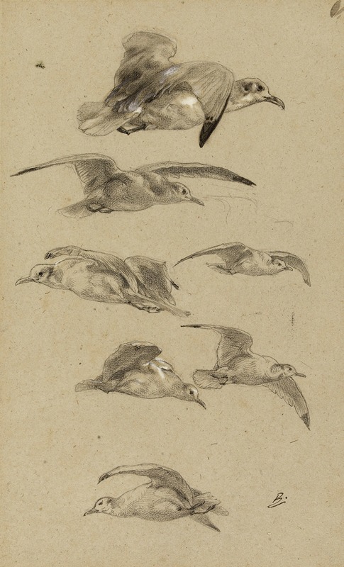 Mouettes by Félix Bracquemond — digital art print download