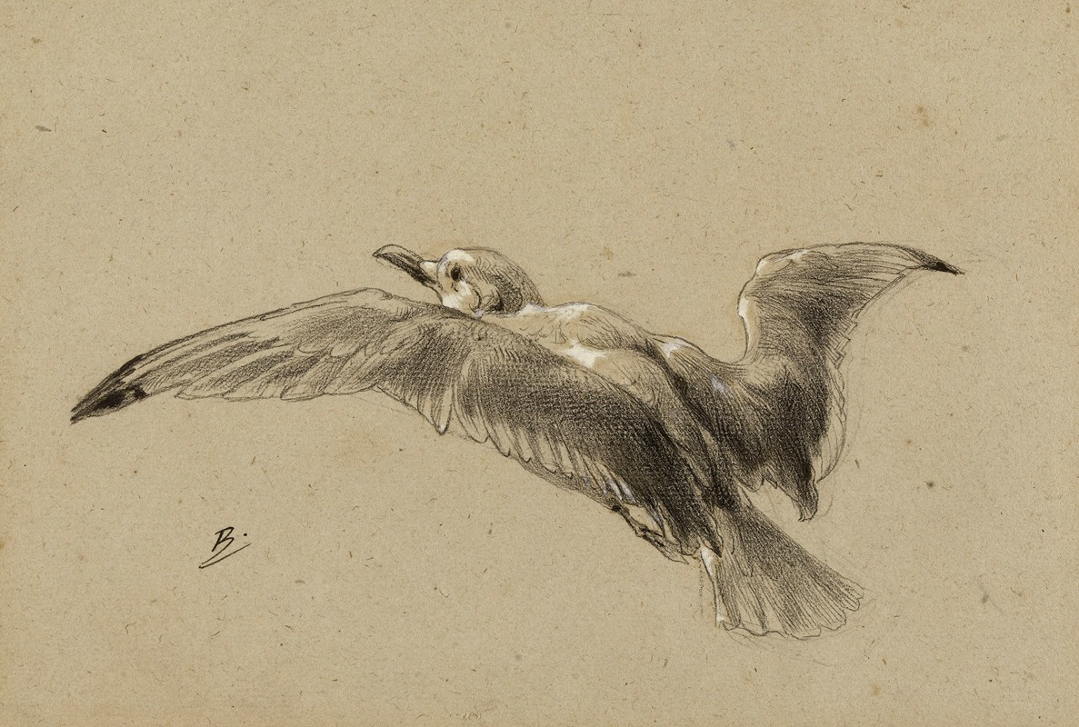 Mouettes by Феликс Браккемонд — digital art print download