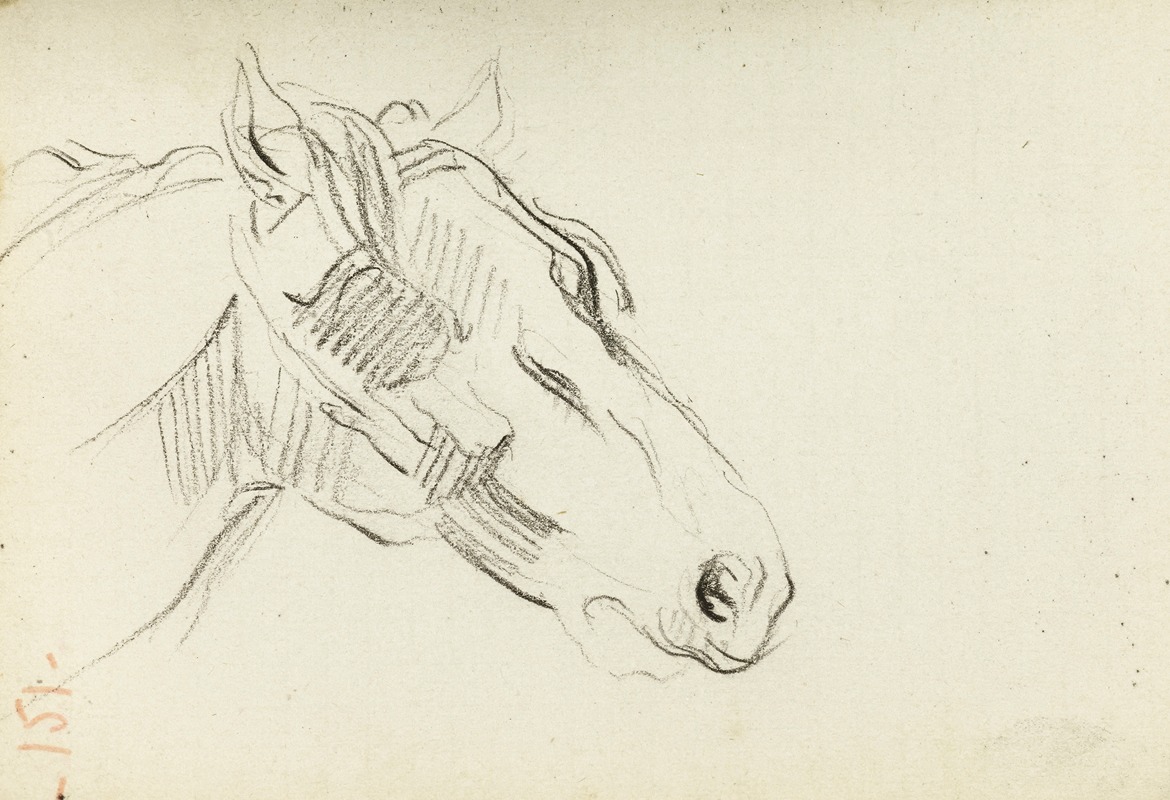 Etude de tête de cheval by Жан-Батист Карпо, 1872 — digital art print download