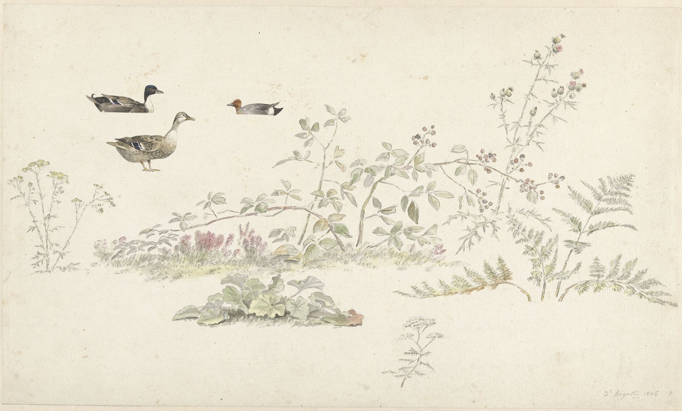 Studieblad met planten en watervogels — Josephus Augustus Knip