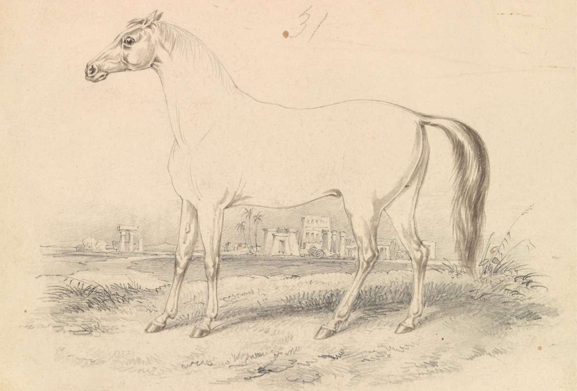 The Dongola Horse by Чарльз Гамильтон Смит, 1837 — digital art print download