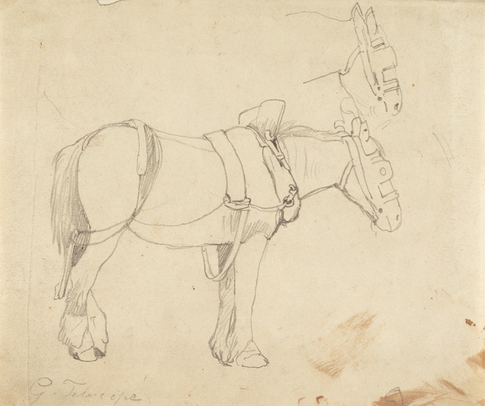 Studies of a Carthorse — Корнелиус Варли