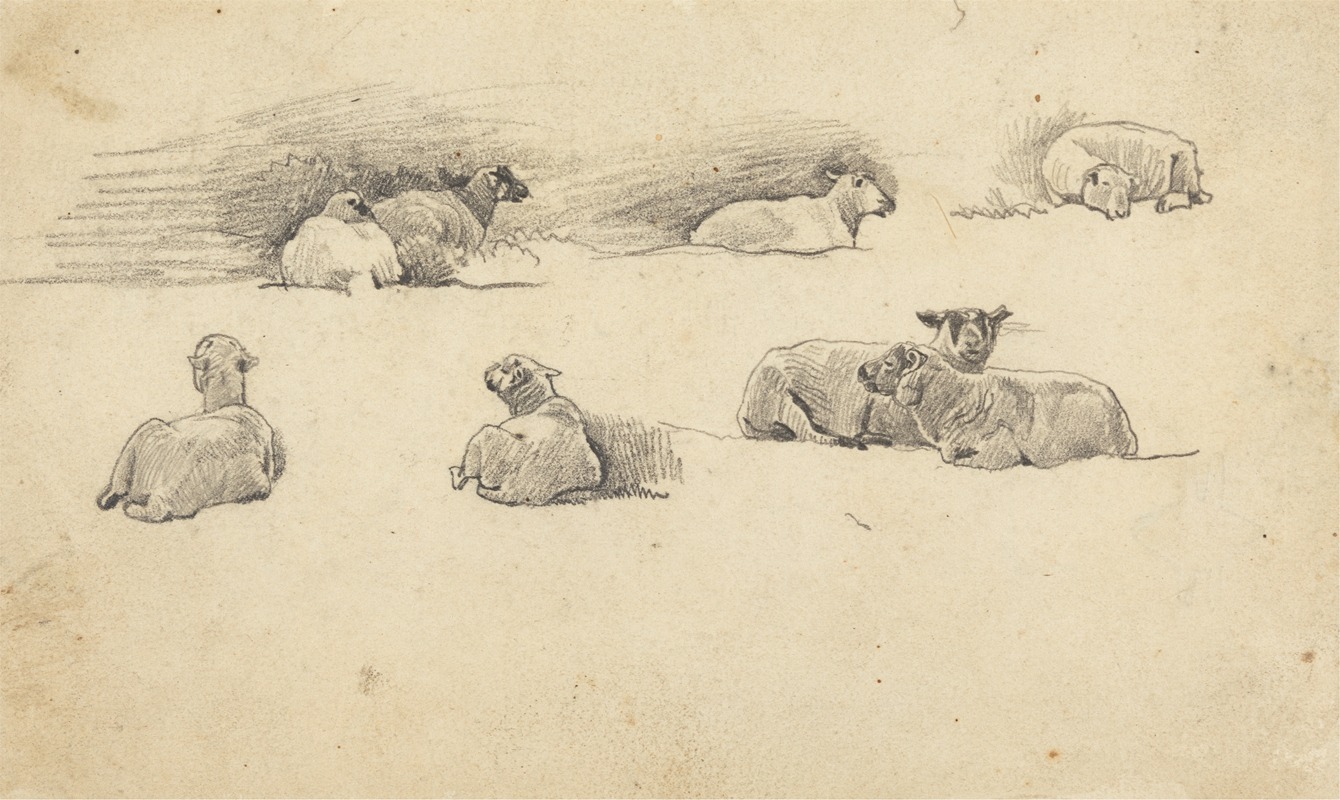 Study of Sheep by Корнелиус Варли — digital art print download