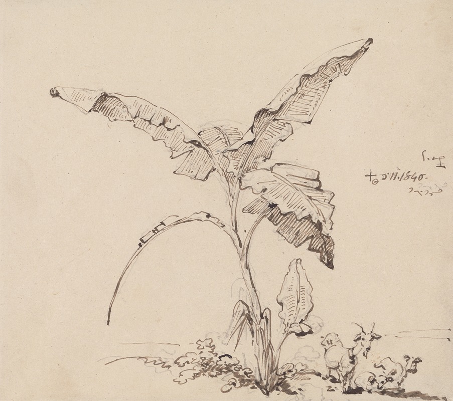Goats Beneath a Banana Tree by Джордж Чиннери, 1840 — digital art print download